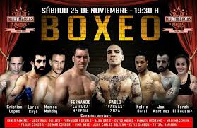We did not find results for: Loren Rayo Archives Aebox Asociacion Espanola De Boxeo
