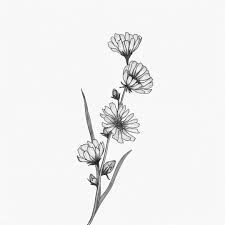 Pin On Dibujos De Flores Flower Drawings