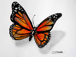 You may need to sketch the line a few times before you get the desired one so have a good. Realistic 3d Butterfly Drawings In Pencil Novocom Top