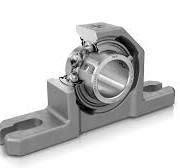 Radial Insert Ball Bearings for the Food and Beverage ...