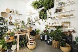 The Zen Succulent A Modern Terrarium Plant Craft Store Plant Crafts Modern Terrarium Plants