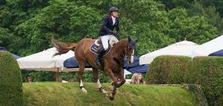 Ben maher, seen here sharing a moment with explosion w, said the dutch warmblood is one of the best horses he has ever had. Sampson Dreaming Of Derby Double