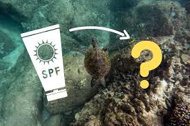 Du sagst mir heimlich ein leises wort. Nachhaltige Korallenfreundliche Sonnencreme Unsere Tipps Indojunkie