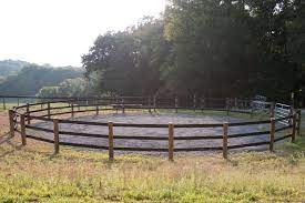 The round pen is not a safe training environment for all horses, and can even be dangerous for some. Flex Fence Round Pen For Horses In 2021 Beautiful Horse Barns Diy Horse Barn Horse Farm Ideas