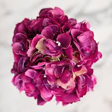 Maybe you would like to learn more about one of these? Fuchsia Mophead Hydrangea Artificial Flowers From Amaranthine Blooms Amaranthine Blooms Uk
