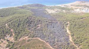Ayvalik Ta Yanan Alan Havadan Goruntulendi Denize Nazir