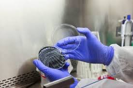 First Patient Dies of Legionnaires’ Disease After New York Outbreak