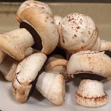 Meringue Mushrooms Recipe Meringue Mushrooms Stuffed Mushrooms Recipes