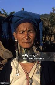 7,453 Rib Cage Stock Photos, High-Res Pictures, and Images