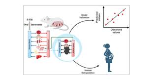 Development of a Physiologically Based Pharmacokinetic (PBPK) Model for  F-53B in Pregnant Mice and Its Extrapolation to Humans