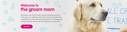 Happy to say all about pets grooming met those high. We Re Better With Pets The Groom Room