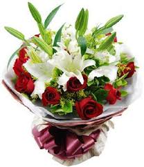 Choose the plant we offer a beautiful selection of plants for delivery. Cesta Rosas Osito Ander White Lily Bouquet Bonsai Plants For Sale Flower Delivery