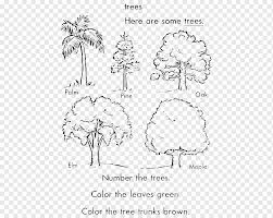 Download Coloring Book Tree Arecaceae Trunk Pine Tree Mammal Text Hand Png Pngwing