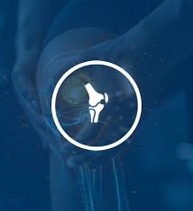 Image result for Orthopichonia