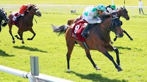 Want to discover art related to galopprennen? Galopprennen In Hoppegarten Rip Van Lips Gewinnt Mit Jockey Gerald Mosse Rbb24