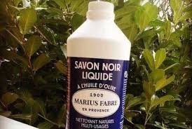 16 Utilisations Du Savon Noir Que Tout Le Monde Devrait Connaitre Savon Noir Savon Noir Liquide Trucs Et Astuces