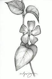 Vippng.com about privcy policy terms & conditions upload png. 50 Easy Flower Pencil Drawings For Inspiration Pencil Drawings Of Flowers Flower Drawing Easy Flower Drawings