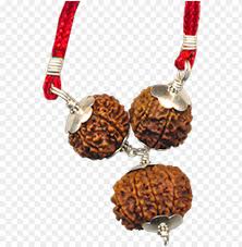 Career Growth Rudraksha Necklace Png Image With Transparent Background Toppng Download free hands png images. career growth rudraksha necklace png