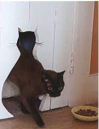 Pin On Diy Around The House