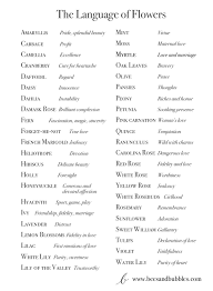 The Language Of Flowers Bees And Bubbles Language Of Flowers Flower Meanings Book Writing Tips