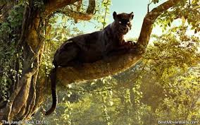 The jungle book is a disney media franchise that commenced in 1967 with the theatrical release of the jungle book. The Gorgeous Bagheera From Thejunglebook Jungle Book Bagheera Jungle Book 2016 Jungle Book