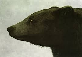 Bear Van Hoesen Bear Animal Art Animal Drawings