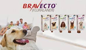 Bravecto šunims - blusų ir erkių naudojimo, gydymo ir profilaktikos  instrukcijos