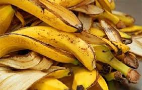 Pastikan bancuh sebotol baja 500ml dengan 20 liter air paip atau air hujan. Diy Baja Buah Supaya Pokok Berbuah Lebat Sihat Cuma Guna 3 Sisa Dapur Ini Saja Vanilla Kismis