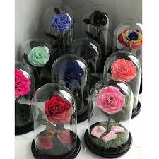 We deliver sympathy funeral flowers. Preserved Rose In Glass Dome Shopee Philippines