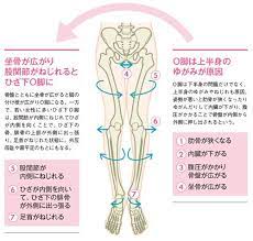 o脚解消 肋骨と骨盤のゆがみとり 日経ウーマンオンライン 日経ヘルス6月号 骨盤矯正 ストレッチ o脚 ヘルス