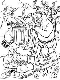 Decide what you want to draw on your poster that shows other kids the important messages of wildfire prevention or conservation. Color The Outdoors Us Forest Service