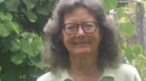 Turning Florida's rural lands into urban sprawl is a tragedy worthy of  Shakespeare • Florida Phoenix