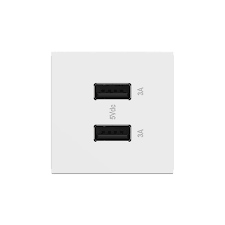 Plug in to your creative side with a modern power outlet or usb outlet from the adorne collection by to ensure proper installation of your new legrand adorne power outlet or usb outlet, be sure to call our lighting experts at 877.445.4486 with any. Adorne 2 Module Ultra Fast Usb Outlet By Legrand Adorne Arusb2aa6w4