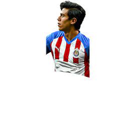 We did not find results for: Macias Fifa Mobile 21 Fifarenderz