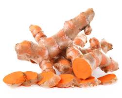 Image result for Afroligusticum runssoricum