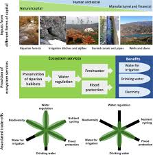 Improve your academic writing with nature research editing service english editing scientific editing expert editors in your subject area. Disentangling The Pathways And Effects Of Ecosystem Service Co Production Sciencedirect