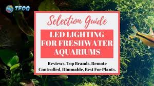 Big List Of The Best Led Lights For Freshwater Aquariums In 2020