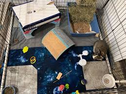 It has eight panels to allow various configurations with heights is 24, 32, or 40 inches high. Rabbit Housing Options