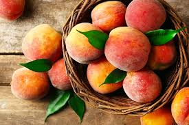 Peach salsa.peach dishes don't always have to be sweet. 34 Different Types Of Peaches Home Stratosphere