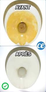 le truc efficace pour nettoyer le fond de la cuvette encrasse nettoyage de la cuvette des toilettes nettoyer toilettes nettoyant