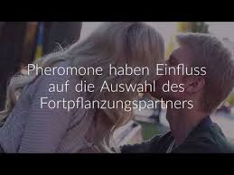 Das liegt daran, dass wir ihn recht gut einschätzen können, wissen, was er mag und auch, welche eigenschaften uns an ihm gefallen. Warum Wir Uns Verlieben