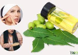 Diy Mouth Freshener To Get Rid Of Bad Breath And Improve Digestion Top 10 Home Remedies Top 10 Home Remedies Home Remedies Neem Oil For Hair