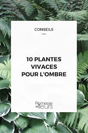 Des fleurs et des couleurs… ce massif de fleurs déversées est original dans sa forme, mais ne toutes les catégories de fleurs ou plantes y ont leur place : 10 Plantes Vivaces D Ombre Pour Composer Un Massif Promesse De Fleurs