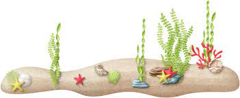 Under The Sea Png Mermaid Crafts Animal Decor Christmas Ornaments