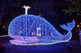 Luminarie Di Salerno La Citta Brilla In Vista Del Natale