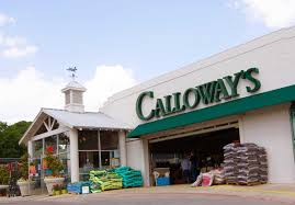 Find more bakeries near flowers bakery. Calloway S Nursery Denton Tx Garden Center And Nursery