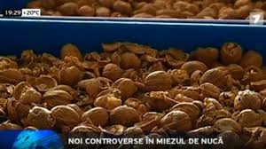 Pentru asta am pus la fiert o crăticioară cu vreo 500 ml de apă. Noi Controverse In Miezul De NucÄ Jurnaltv Md