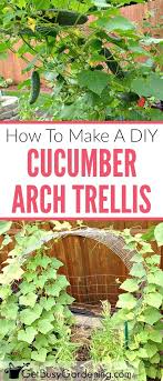 If you make an arch of wood, metal mesh or branches, then on top of it you can attach a special material that can create a greenhouse effect in case of severe cooling at night. Cucumber Trellis Diy How To Make A Cucumber Arch Trellis Cucumber Trellis Cucumber Trellis Diy Garden Arch Trellis