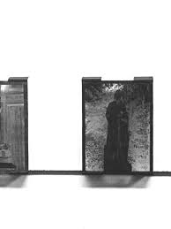 Bildergebnis für Sonia Andrade