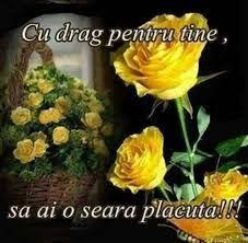 Buna Seara Mesaje Frumoase Căutare Google Plants